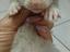 Immagine 4