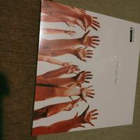 L.Battisti-il mio canto libero vinile 192 khz