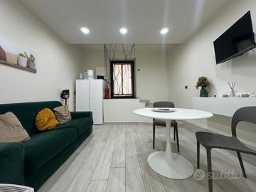 Appartamento ristrutturato zona centrale