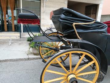 carrozza 