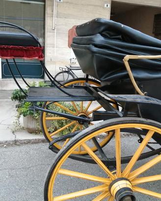 carrozza 