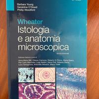 wheater istologia e anatomia microscopica