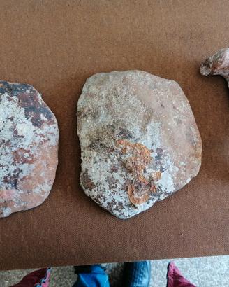 cocci di antica anfora