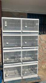 batteria per uccelli terenziani