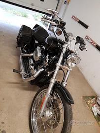 Harley Davidson sportster 1200 custom 