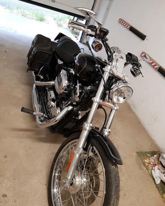 Harley Davidson sportster 1200 custom 