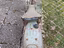Immagine 3