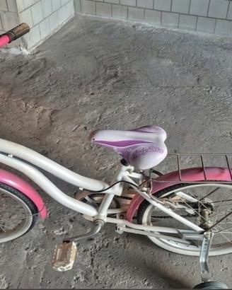 bici da bambina/bambino 20/24
