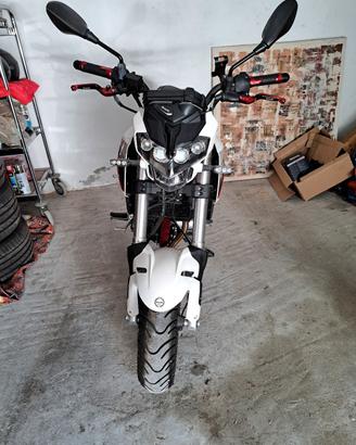 Benelli tnt 125 NAKED