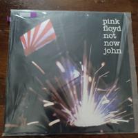 disco vinile Pink Floyd "Not Now John"