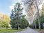 Immagine 11