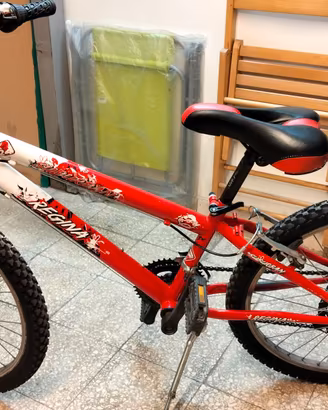 Bicicletta 24 pollici