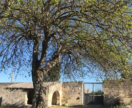 Masseria Pesanei a due passi da Lecce