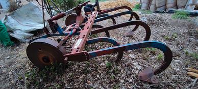 estirpatore Angeloni 