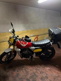 Fanti Caballero 500 Scrambler 2021