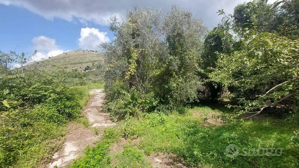 Terreno di 2000 m² a Castel San Giorgio - Vista 5