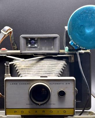 POLAROID 215