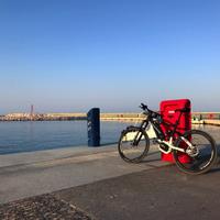 Haibike ebike full bici mtb elettrica