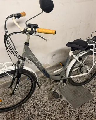 Bici elettrica Armony Firenze