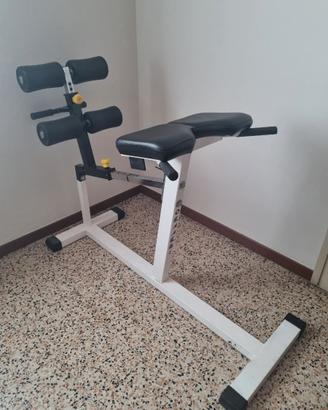 Panca romana hyperextension