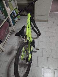Bicicletta