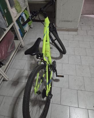 Bicicletta