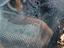 Immagine 14