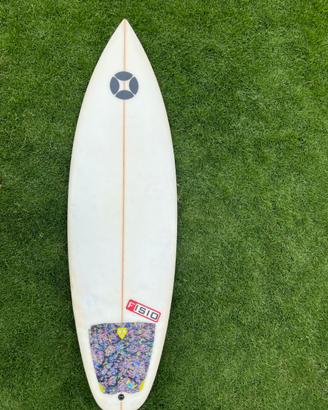 Tavola Surf Fisio Dumpster Diver