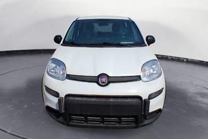 FIAT Panda NEW My23 1.0 70cv Hybrid