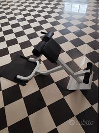 panca romana iperestensione 