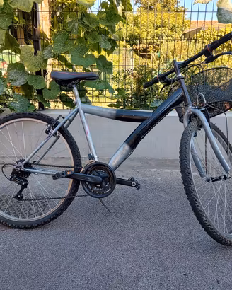 Bici MTB con cestino