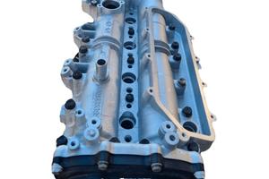 MOTORE RETTIFICATO F1AE0481H IVECO Daily 29L14 100
