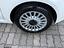Immagine 10