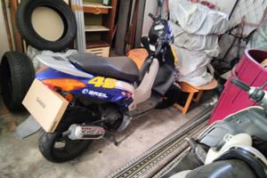 Honda SZX 50 S/X