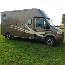 Renault Master trasporto cavalli