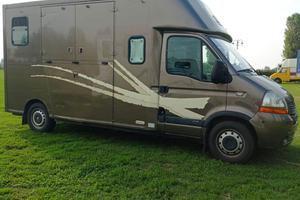 Renault Master trasporto cavalli