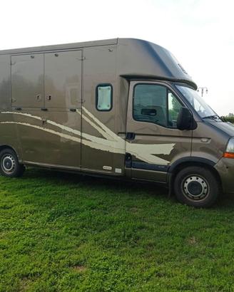 Renault Master trasporto cavalli