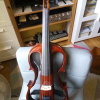 Viola elettrica Roling's