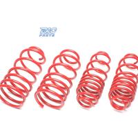 KIT MOLLE SPORTIVE PER RENAULT