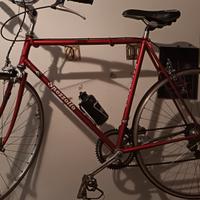 Bicicletta da uomo