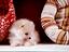 Immagine 29