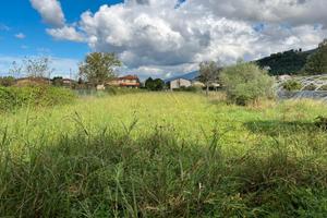 Terreno agricolo