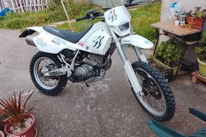 Tt600e belgarda 1995