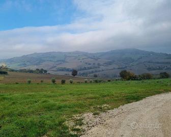 Terreno di 280 m² a Polverigi