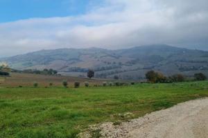 Terreno di 280 m² a Polverigi