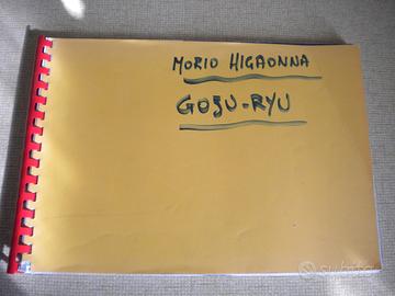 Morio Higaonna, GoJu Ryu Karate-Do, IOGKF