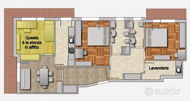 Stanza singola vicino Metro Conca d'Oro
