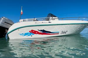 Renato Molinari Falcon 560