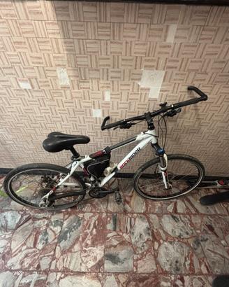 bicicletta