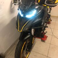 Qj motor srt 800 sx 2025